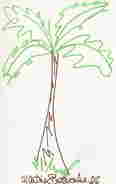 007 James Bond art. 8x5 inch card with Thunderball palm tree drawing, hand drawn and signed by (1 of 1)