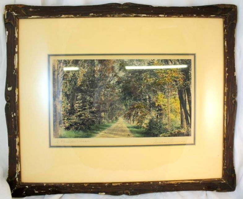 Wallace Nutting A Meadow Arch Exterior Photograph: Wonderful antique early 1900's Hand colored Wallace Nutting Photograph. A large photograph called A Meadow Arch. A beautiful partially sunlit but partially shaded path through trees and shrubs. measur