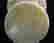 item-14744654=7