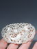 Fine Old Chinese White Jade Carved Double Bat Pendant - 4