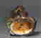 item-42952105=4