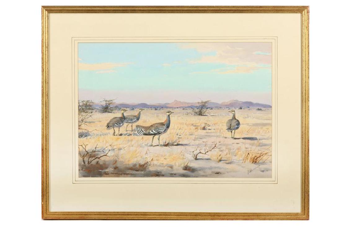 ARR Harrison (J. C.) Stanley Bustards, South Africa, (1 of 1)