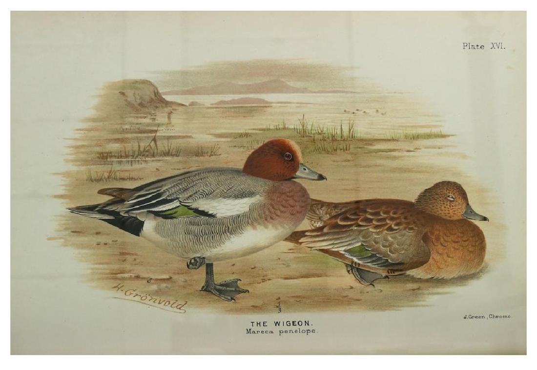 Baker (Edward Charles Stuart) The Indian Ducks and: Baker (Edward Charles Stuart) The Indian Ducks and their Allies, FIRST EDITION, edition limited to 1200 copies with lithos, additional pictorial title, 30 chromolithographic plates, inscription to sec