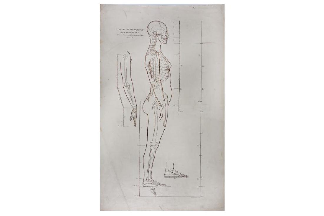 Cuthbert (J. S., after) A collection of plates from A: Cuthbert (J. S., after) A collection of plates from A rule of proportion for the human figure by John Marshall, I & III-VI only, lithographs, loose, some creasing & foxing, plate I badly foxed, folio,