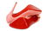 Christian Louboutin Pink Python Rolando 130 - 5