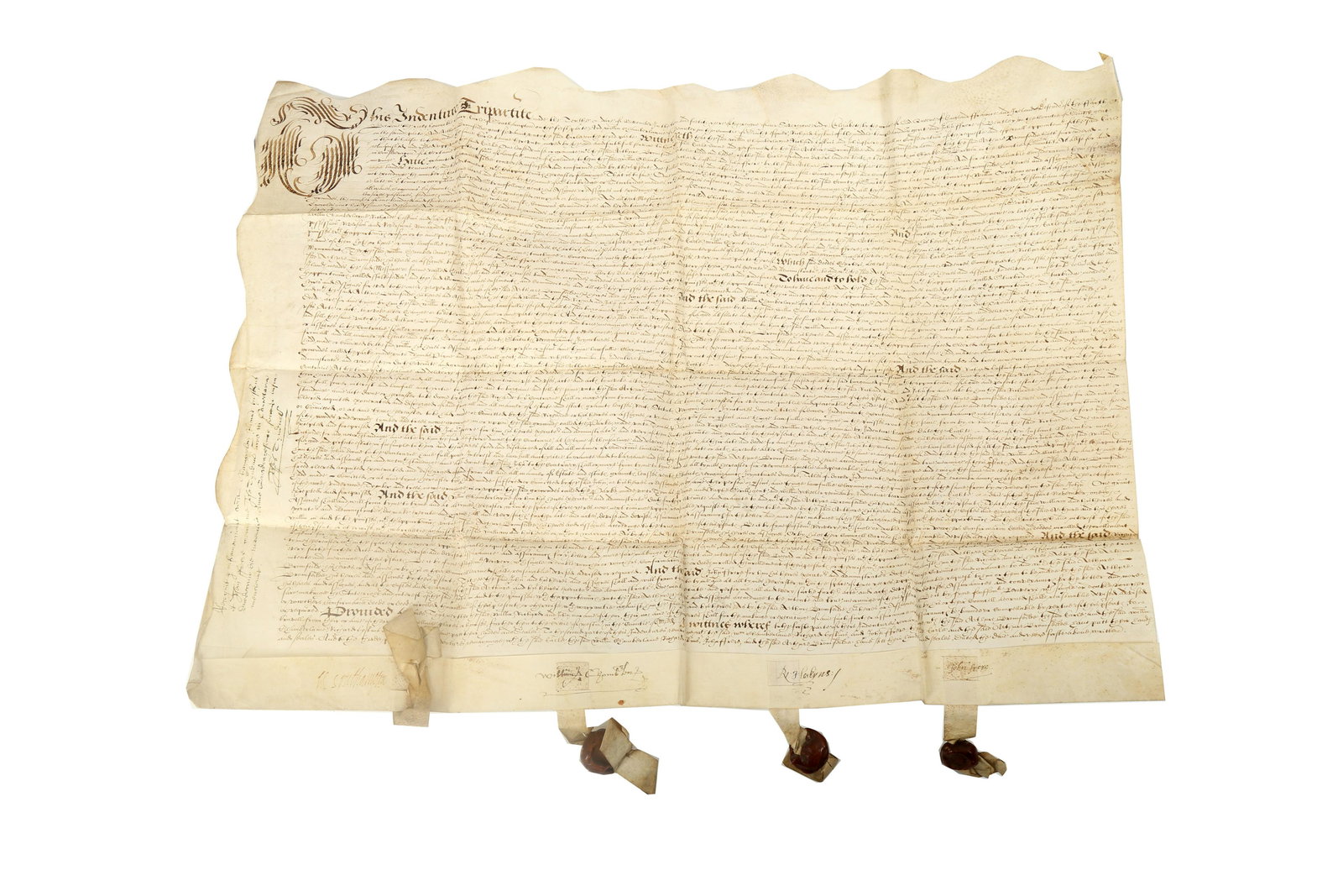 Elizabethan Indentures.- (1 of 5)