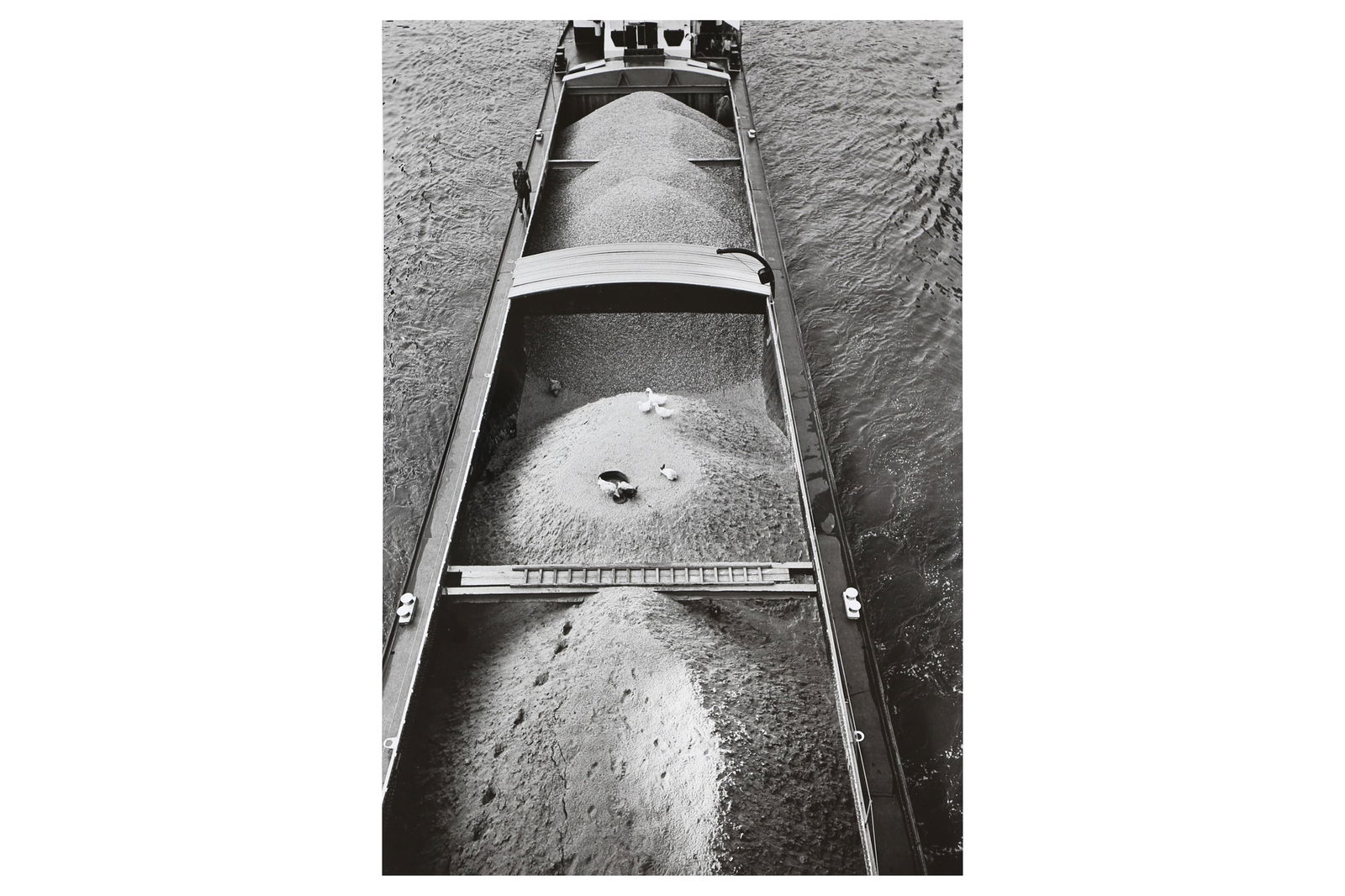 Â§ Jean Philippe Charbonnier (1921-2004): Jean Philippe Charbonnier (1921-2004) L'ARCHE DE NOÃ‰, PARIS, 1976, printed 2003 by HervÃ© Hudry. Silver gelatin print, image size, 352 x 240 mm, with pencil annotations verso, with handwritten l