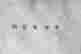 item-104389229=2