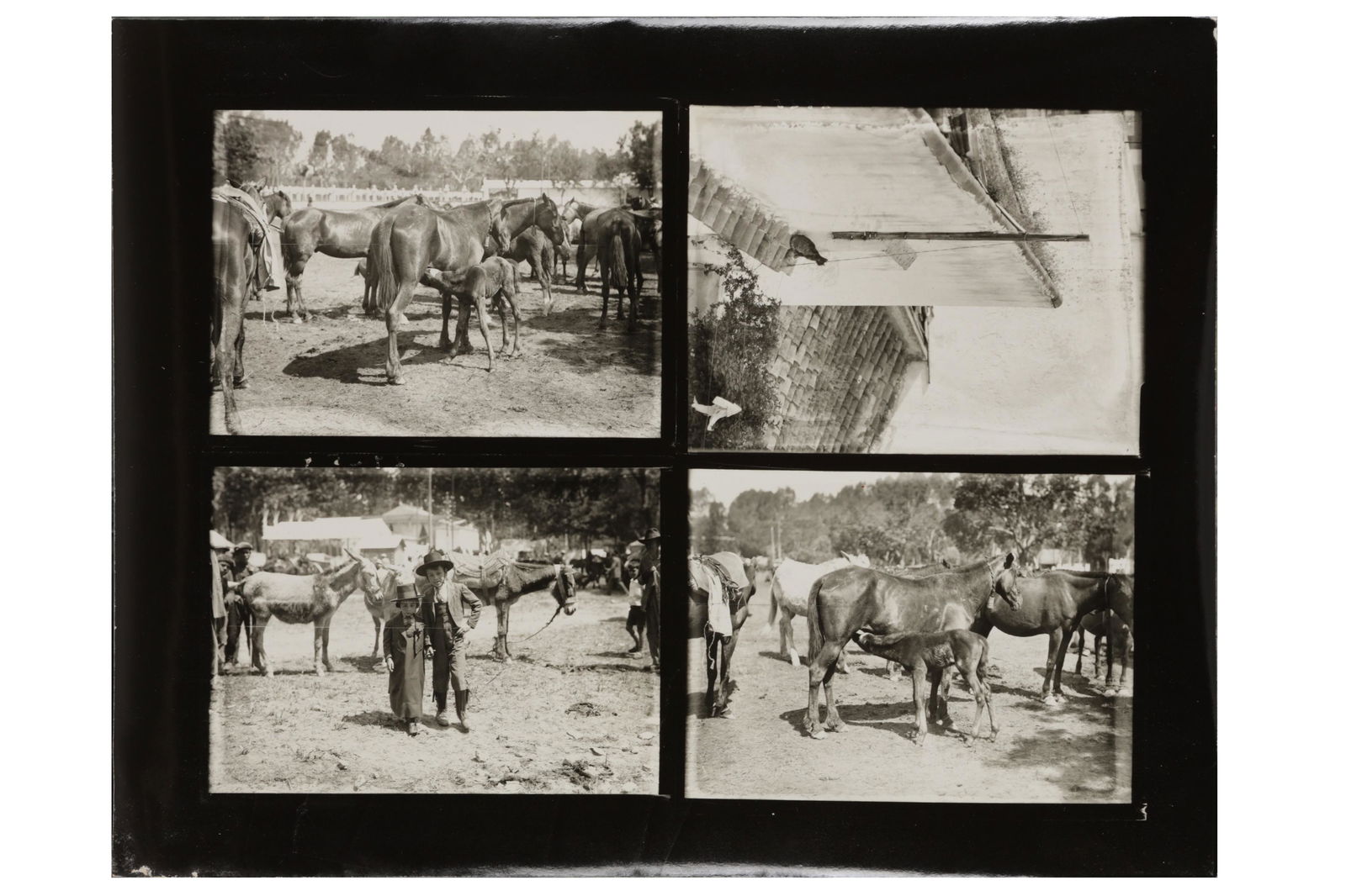 Martin Munkacsi (1896-1963) (1 of 10)