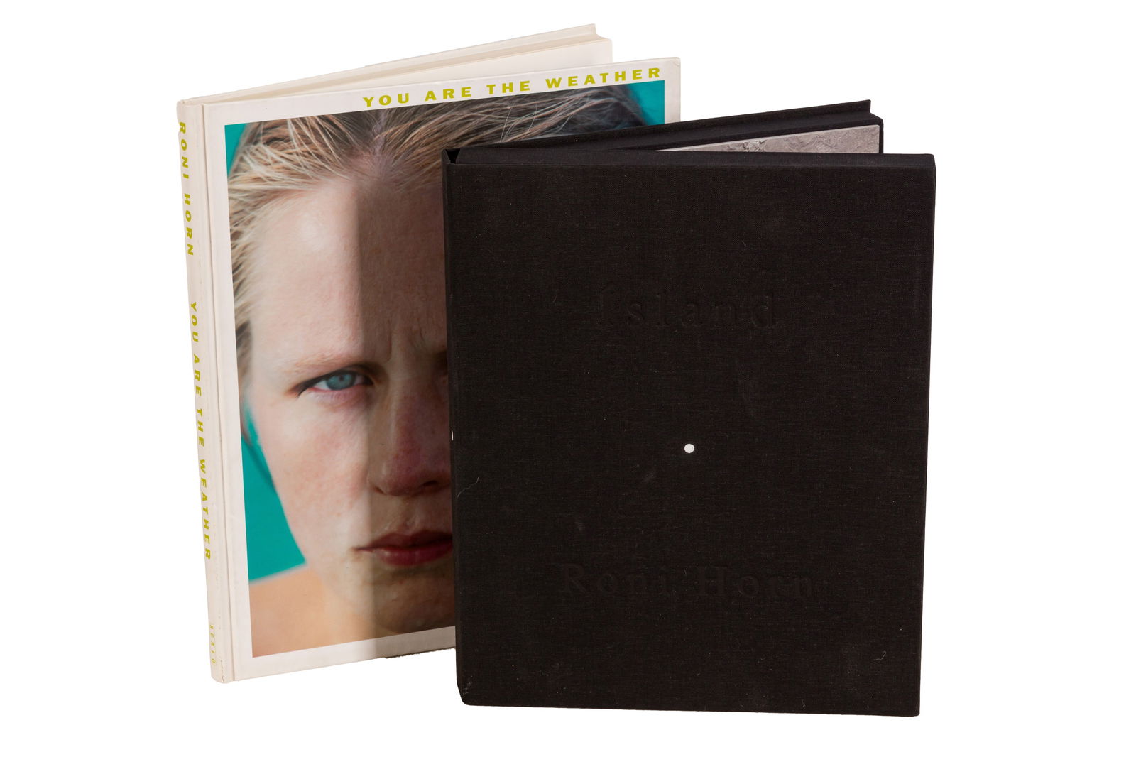 Roni Horn (b.1955): Roni Horn (b.1955) Two first edition volumes, including: DOUBT BOX , 2006. First edition of 1,000, Book IX from Horn's 'To Place' series, black linen clamshell box with shadow black stamped title on u