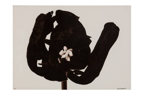 Denis Brihat (b.1928): Denis Brihat (b.1928) TULIP NOIRE, 1977. Vintage silver gelatin print, mounted on board, image size 360 x 495mm, signed, dated and editioned 5/6 by the photographer in ink lower image recto. Framed, f