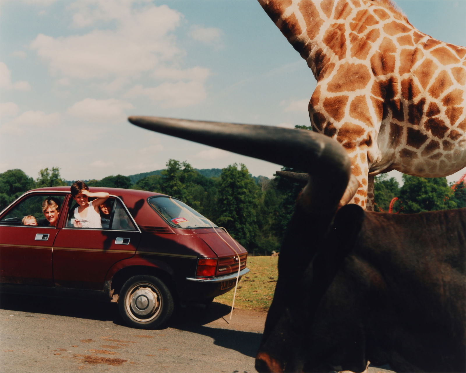 § Martin Parr (b.1952): Martin Parr (b.1952) EAST MIDLANDS SAFARI PARK, 1990. Chromogenic print, image size 35.5 x 44.2cm, sheet size 41 x 51.7cm, signed, titled, dated, and annotated 'A/P' by the photographer in ink verso.
