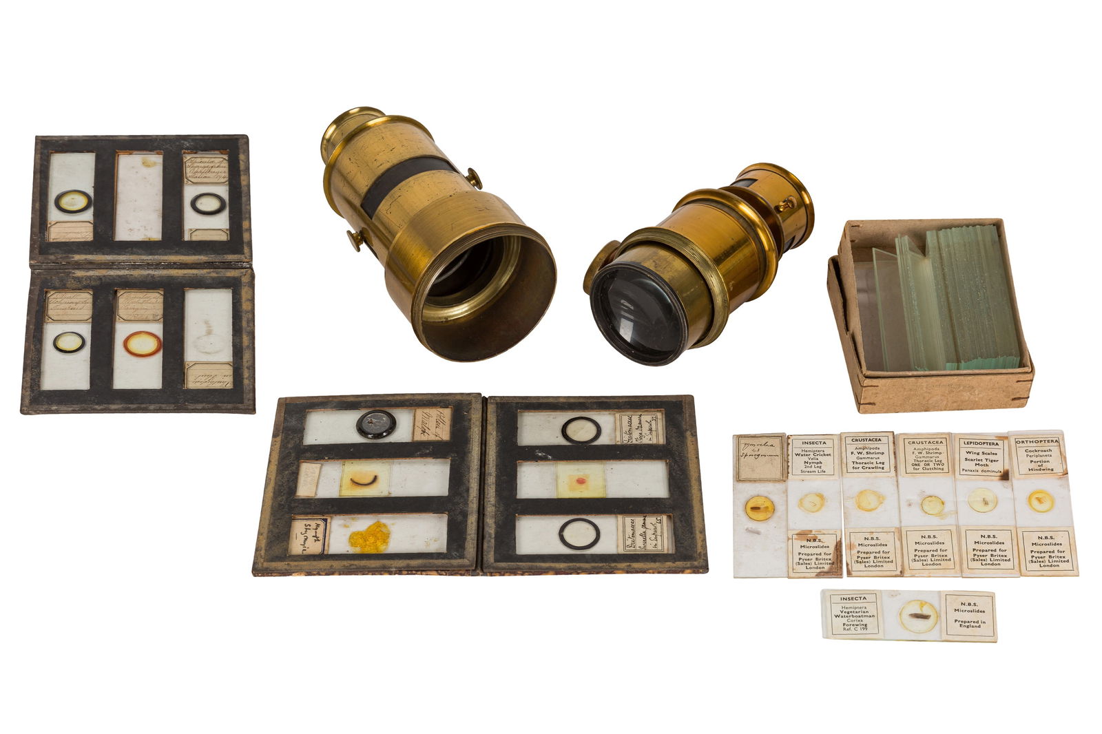 Bernard Buffet、LE MICROSCOPE、海外版希少レゾネ Steindorff Berlin Microscope