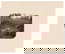 item-210525231=2