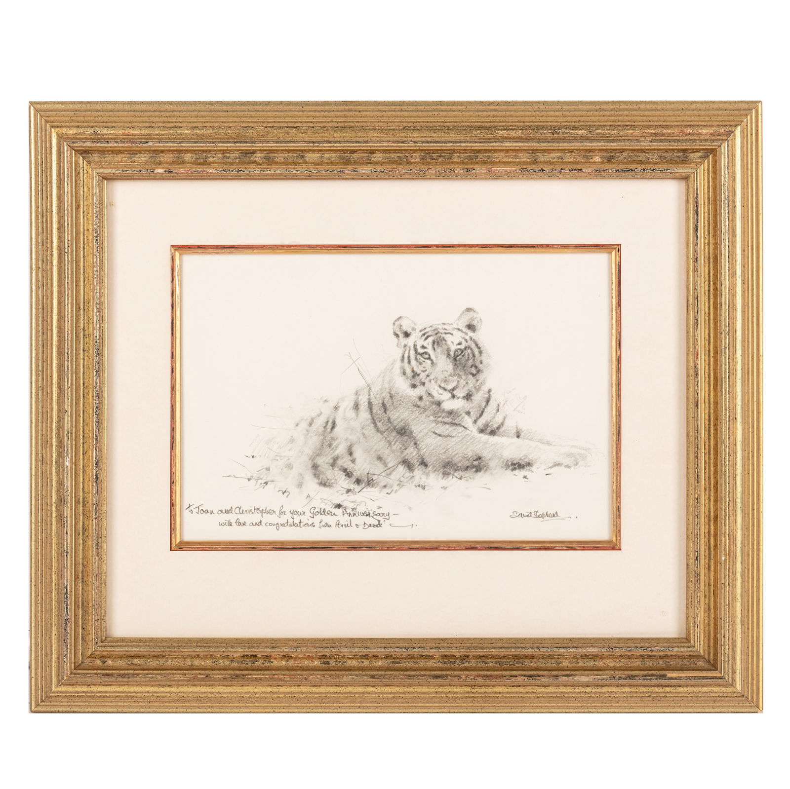 § Shepherd (David) Original sketch of a tiger: § Shepherd (David) Original sketch of a tiger Pencil on paper, signed "David Shepherd" and inscribed in the artist's hand "To Joan and Christopher for your Golden Anniversary, with love and