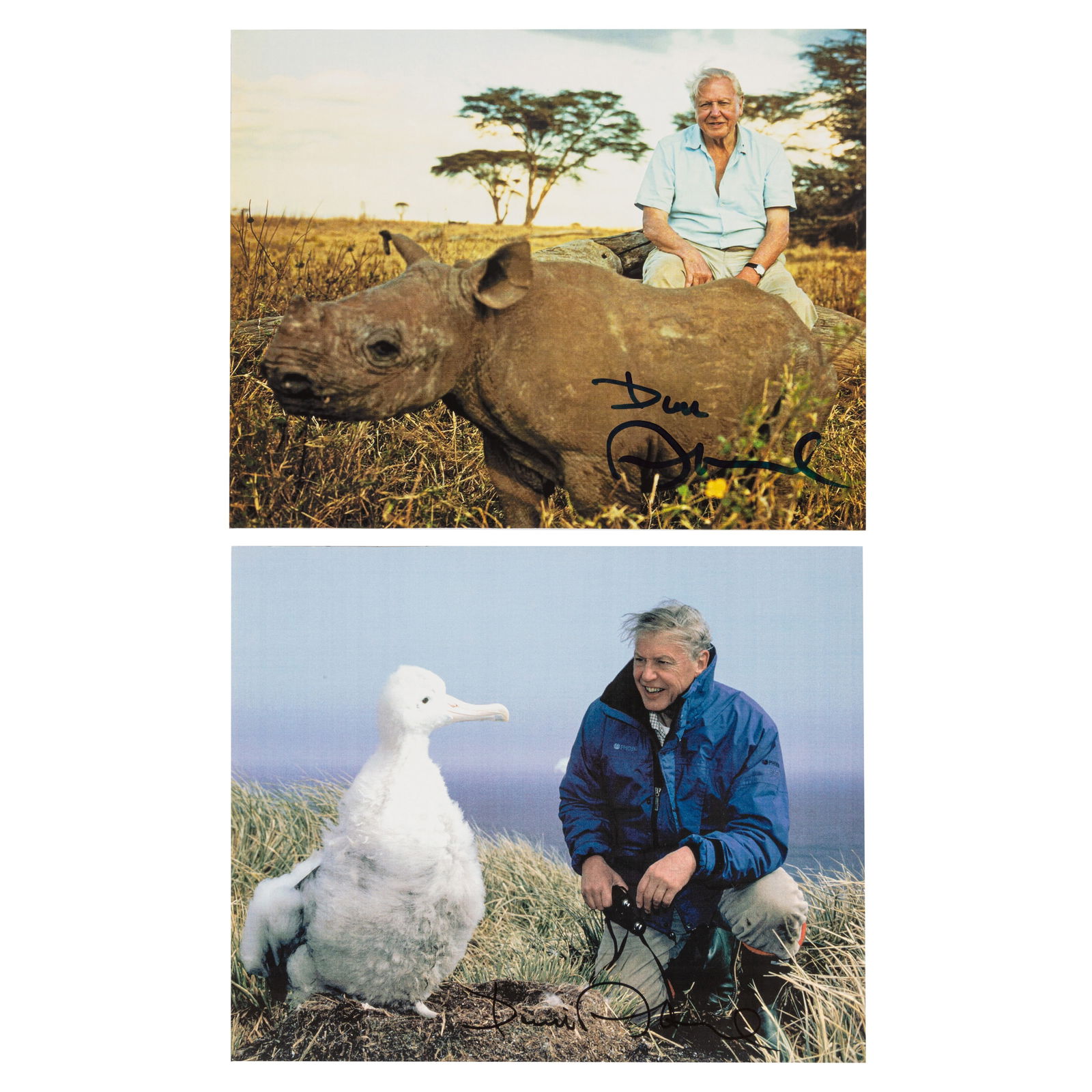 Attenborough (David).- Two colour photographs of the British broadcaster: Attenborough (David).- Two colour photographs of the British broadcaster Each photograph individually signed in felt tip, in very good condition (2) Dimensions:10 x 8"/ 25.5 x 20.5cm