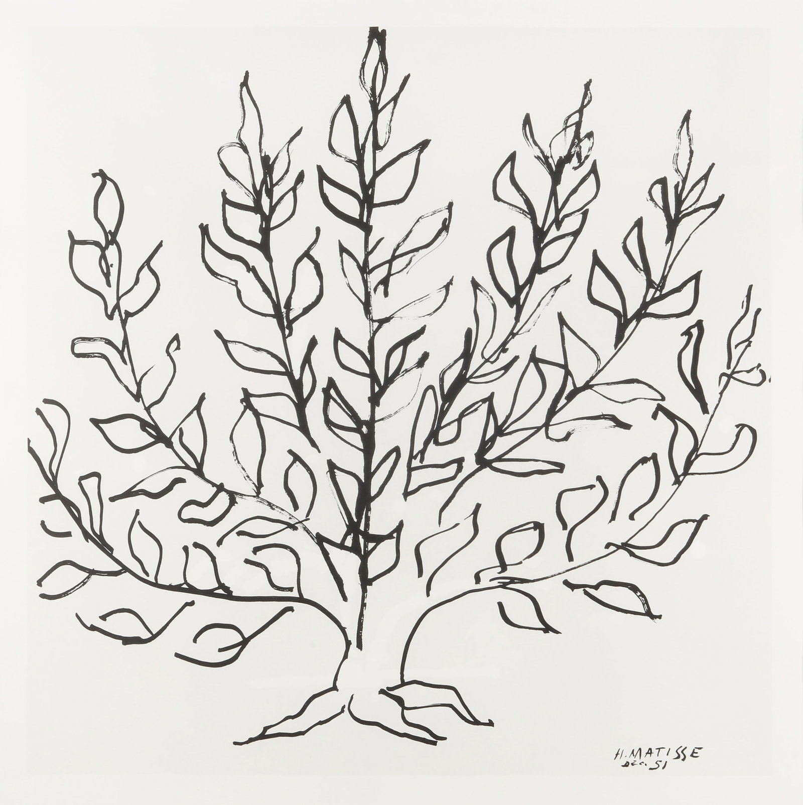 After Henri Matisse (French, 1869-1954) The Plain Tree 1951 - 2