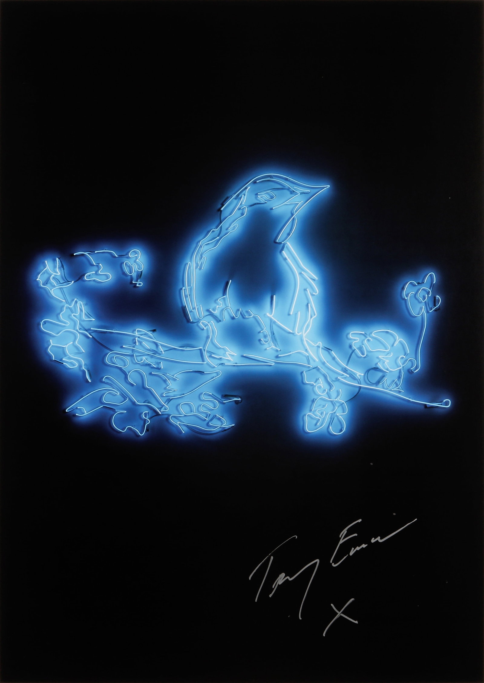 § Dame Tracey Emin D.B.E. R.A. (British, b.1963) My Favourite Little Bird - 2