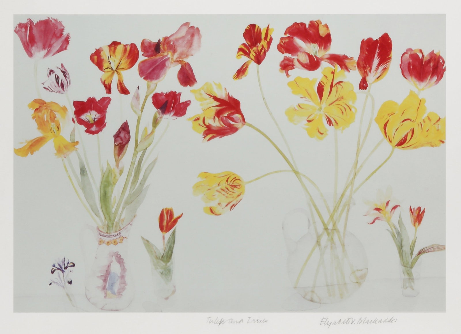 Dame Elizabeth Blackadder R.A. (British, 1931-2021) Tulips & Irises (1 of 1)