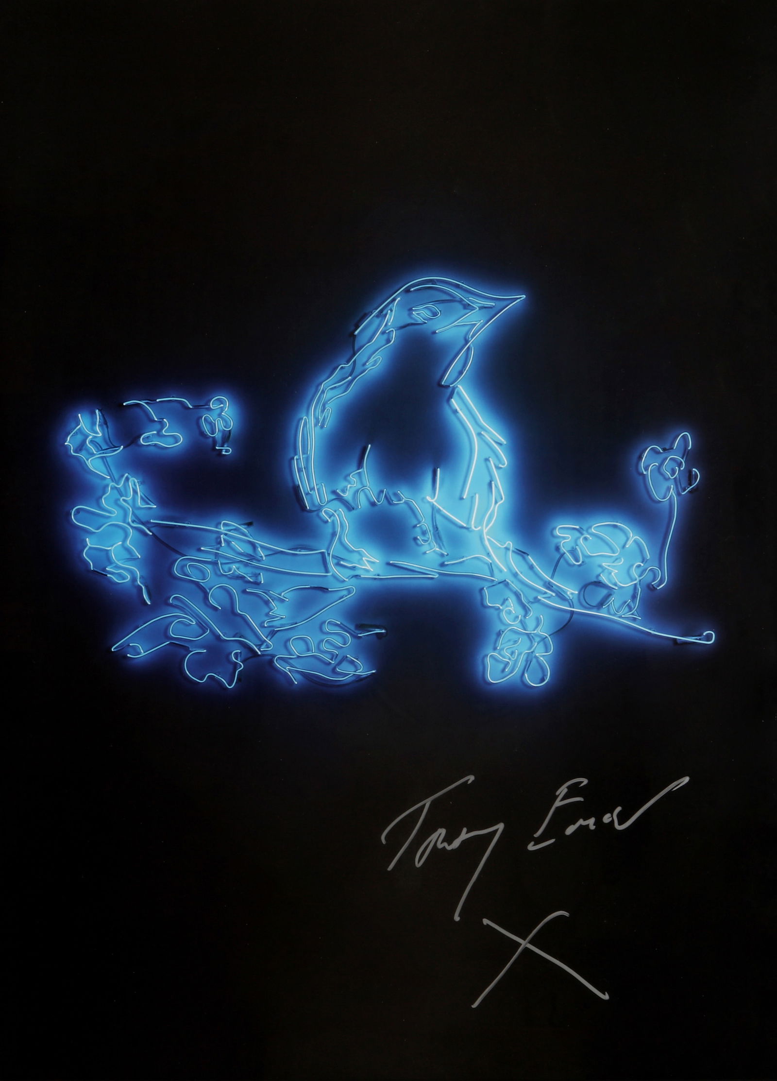 Dame Tracey Emin D.B.E. R.A. (British, b.1963) My Favourite Little Bird: 2015 signed in silver pen from the unnumbered edition of 500 digitally printed poster in colours on 250gsm silk finish wove published by Emin International, London framed ARRDimensions: image 67.5 x 4