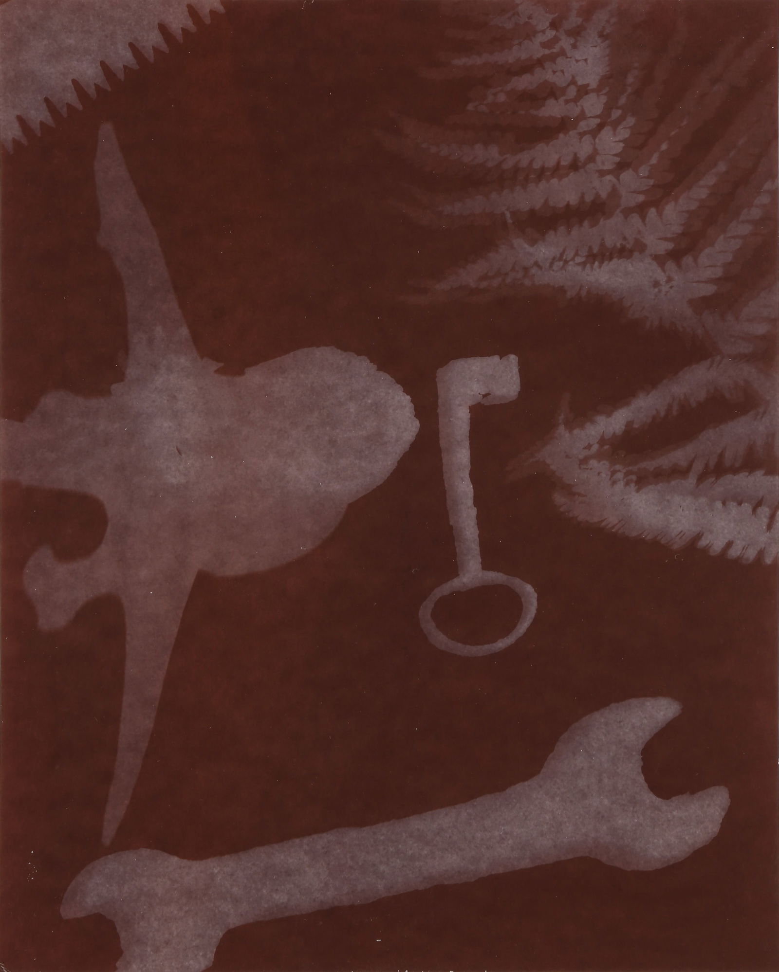 § David Bailey (b.1938) Tools & Skulls, 1989 - 10