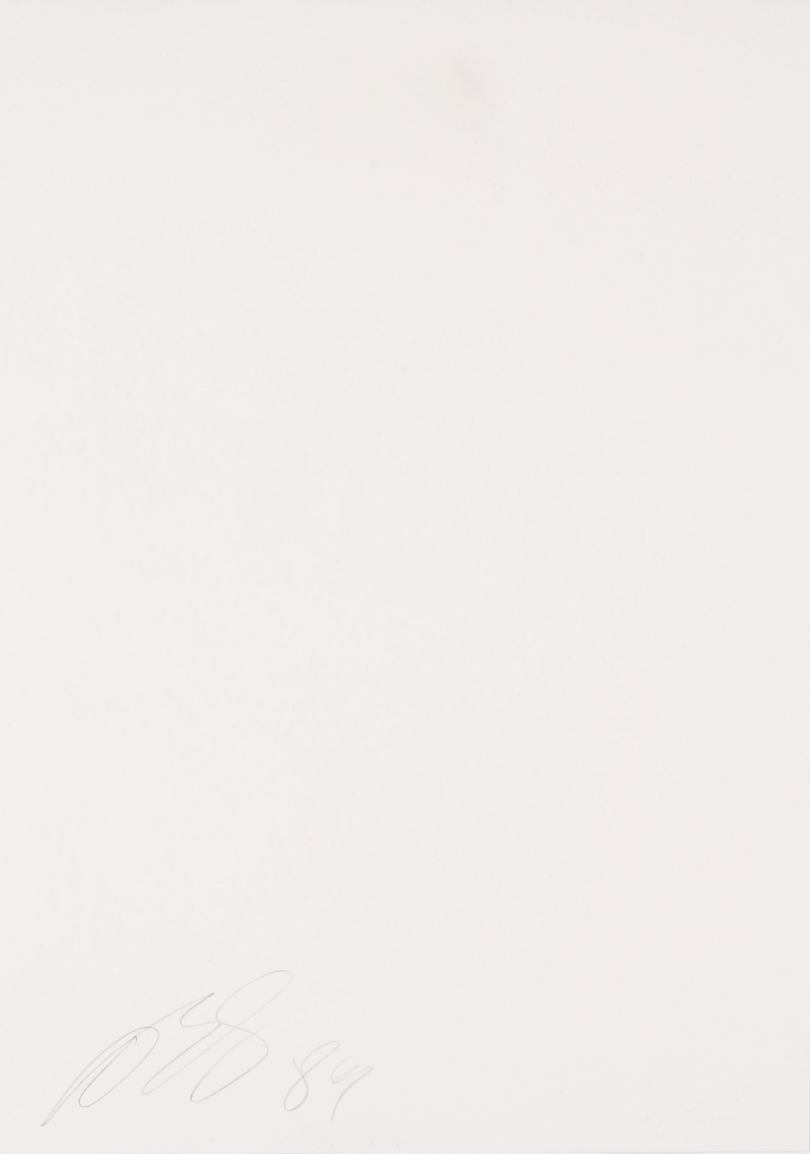 § David Bailey (b.1938) Tools & Skulls, 1989 - 11