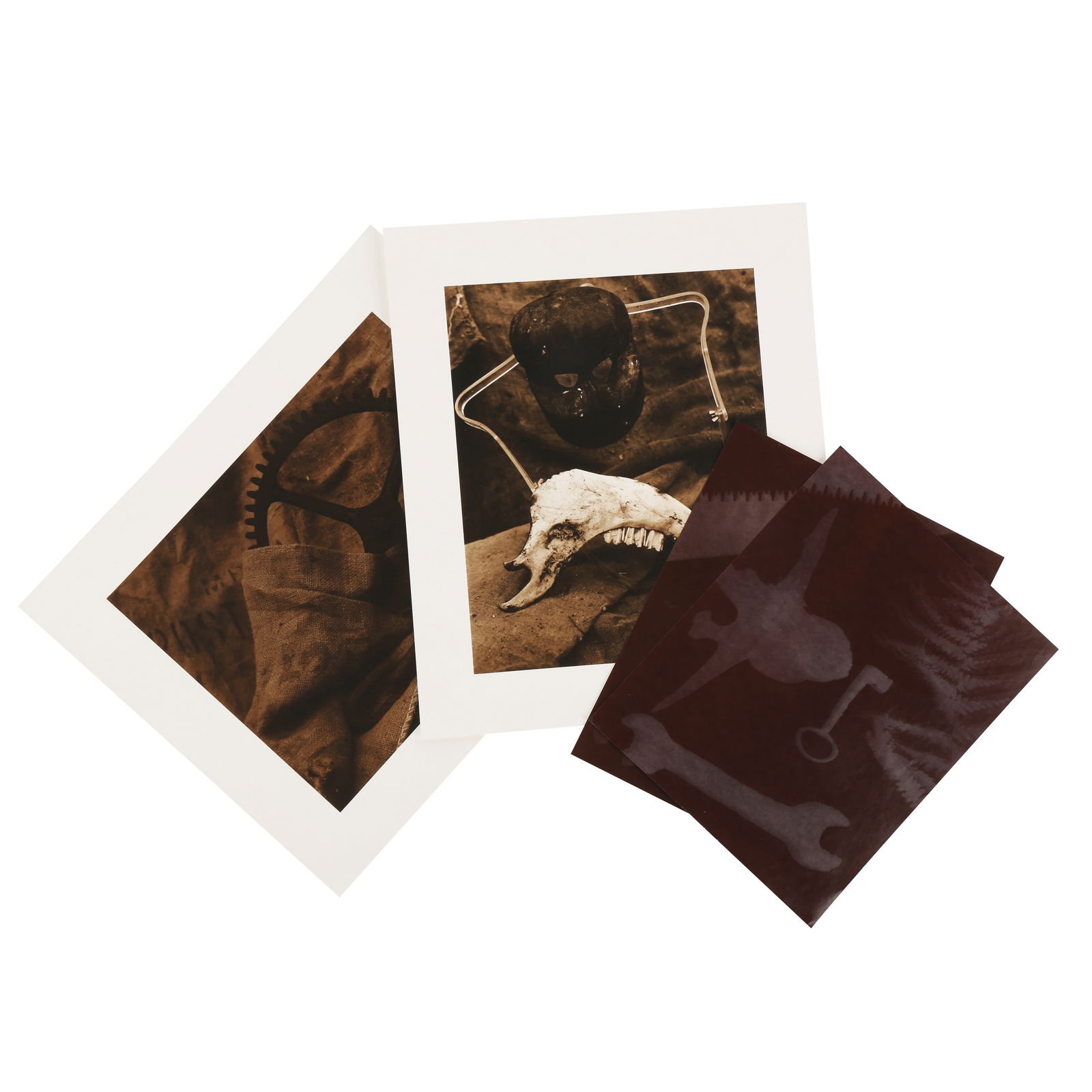 § David Bailey (b.1938) Tools & Skulls, 1989 (1 of 11)