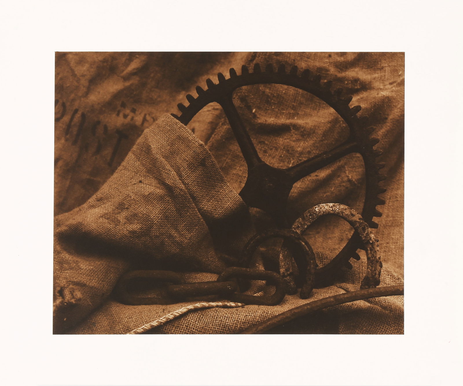 § David Bailey (b.1938) Tools & Skulls, 1989 - 3