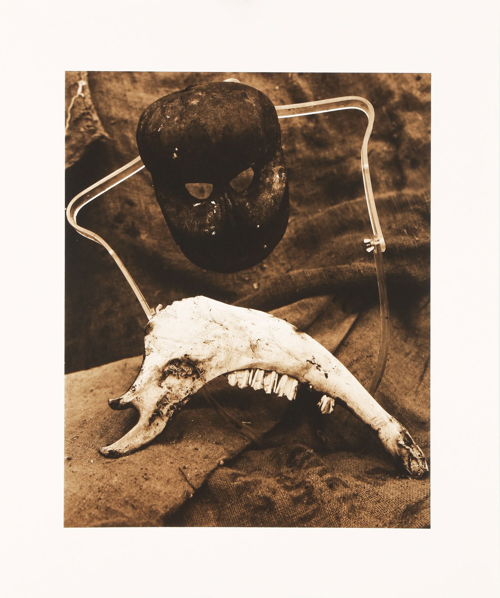 § David Bailey (b.1938) Tools & Skulls, 1989 - 8