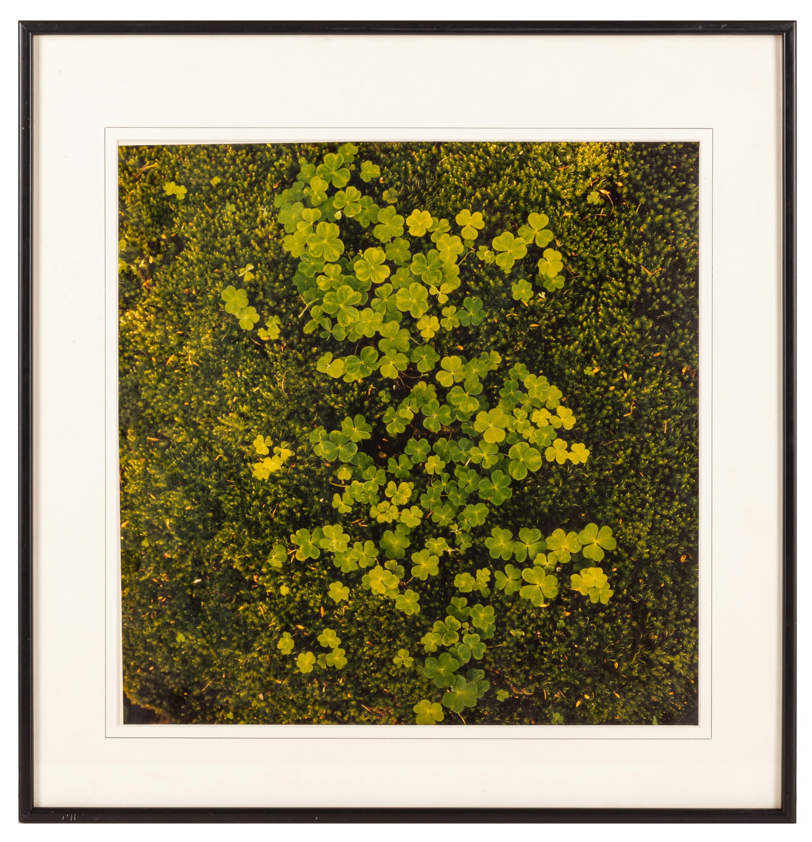 Brenda MacNeill (XX) Loch Landscape - 6