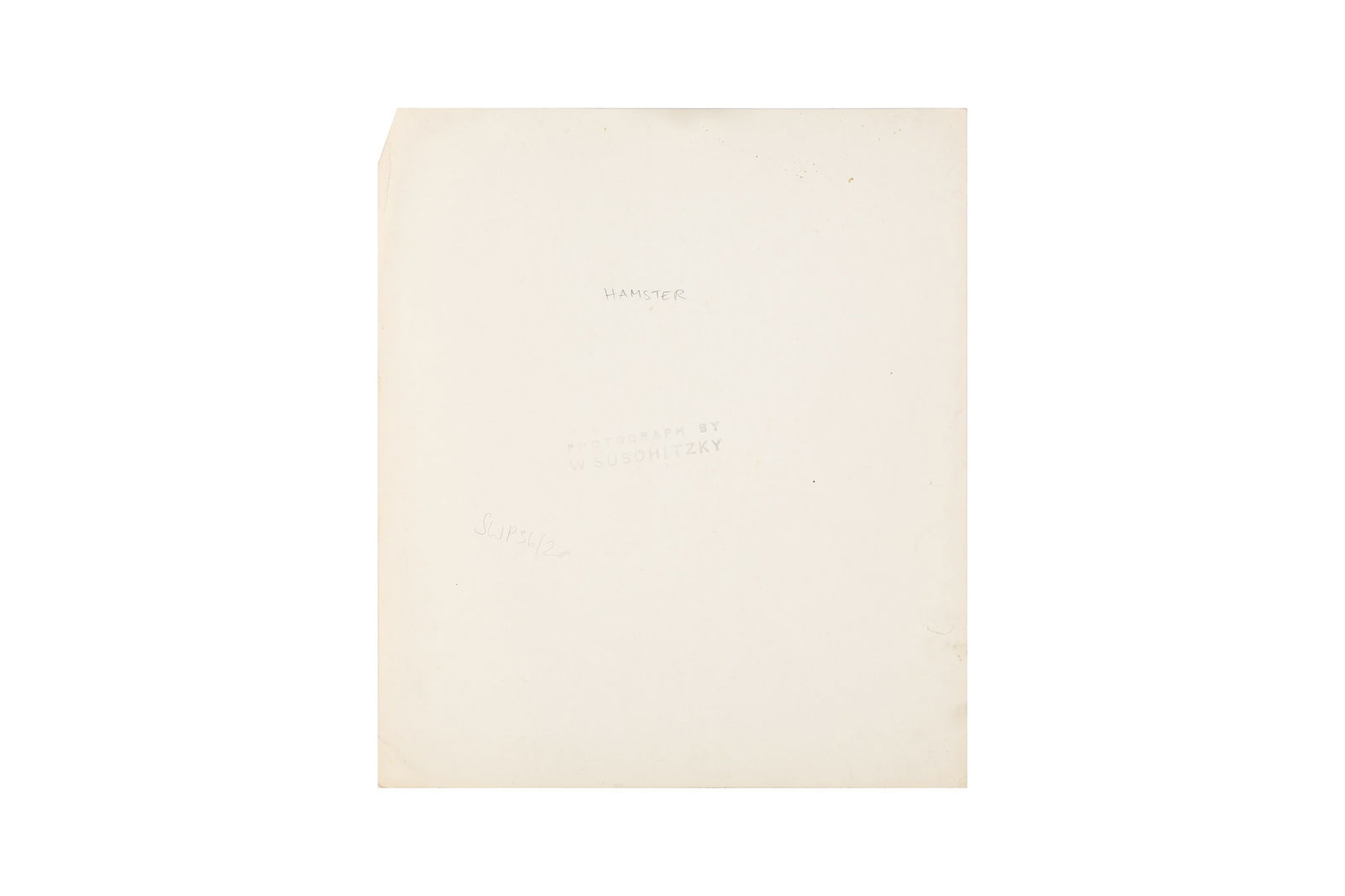 Wolfgang Suschitzky (1912-2016) - 2