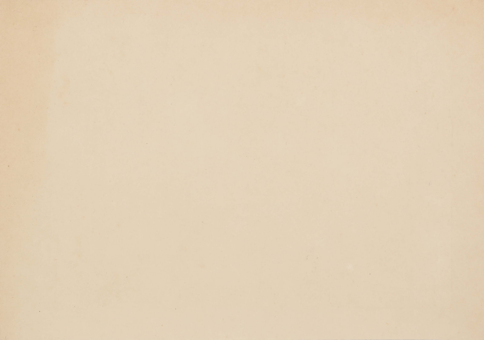 Chinese Interest c.1880-1910 - 15