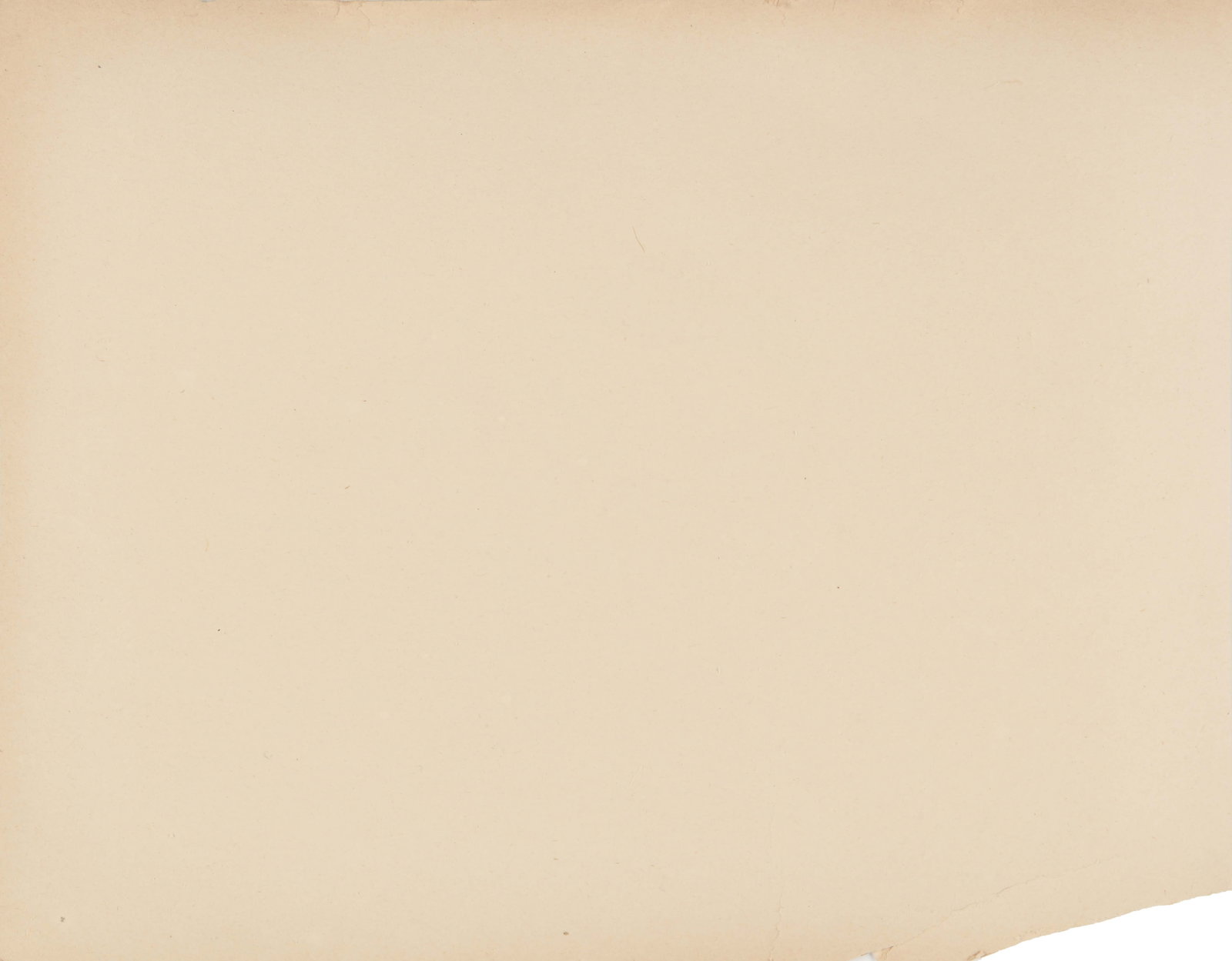 Chinese Interest c.1880-1910 - 17