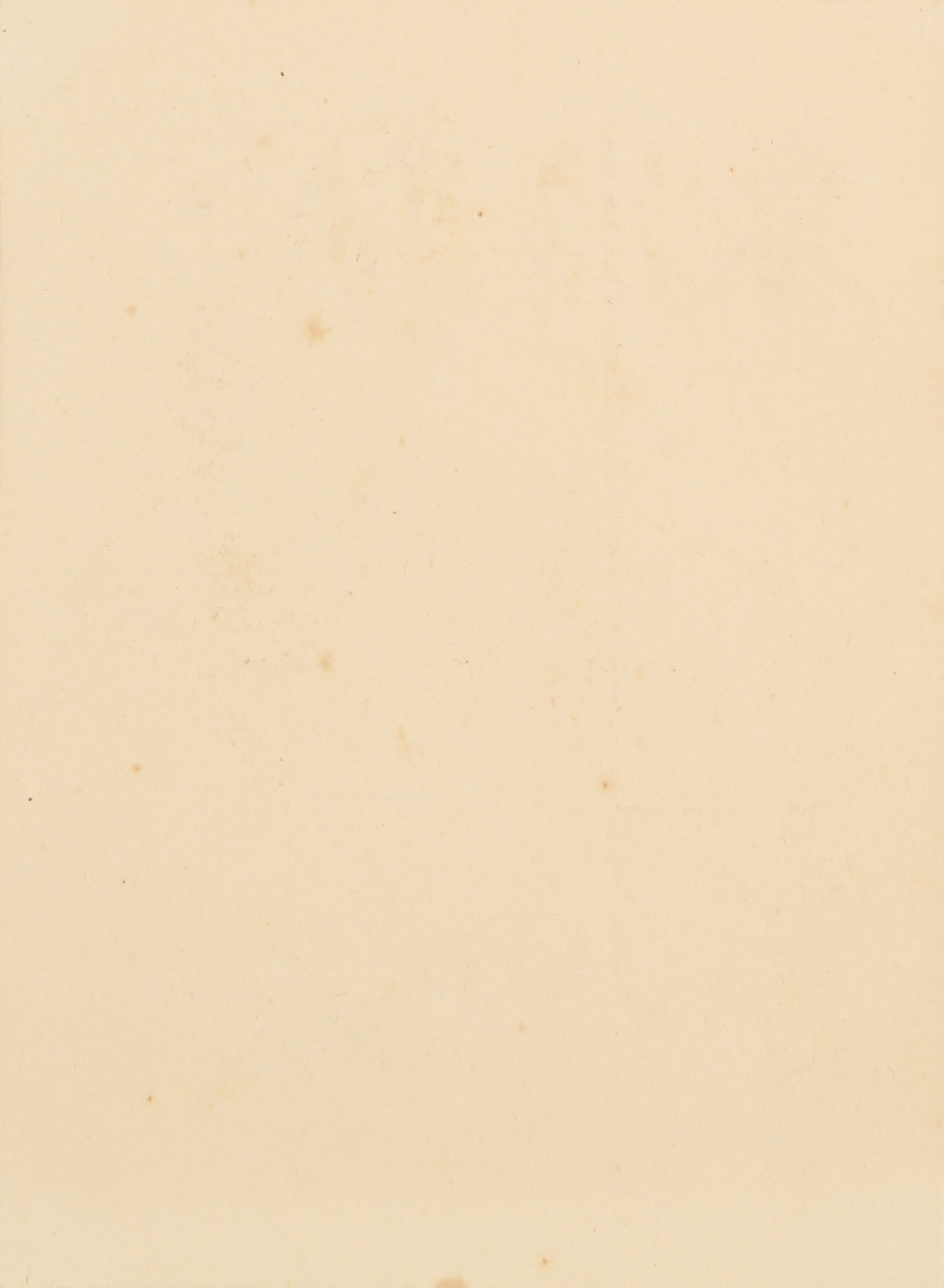 Various Photographers, early 20th century New Zealand Interest - 16