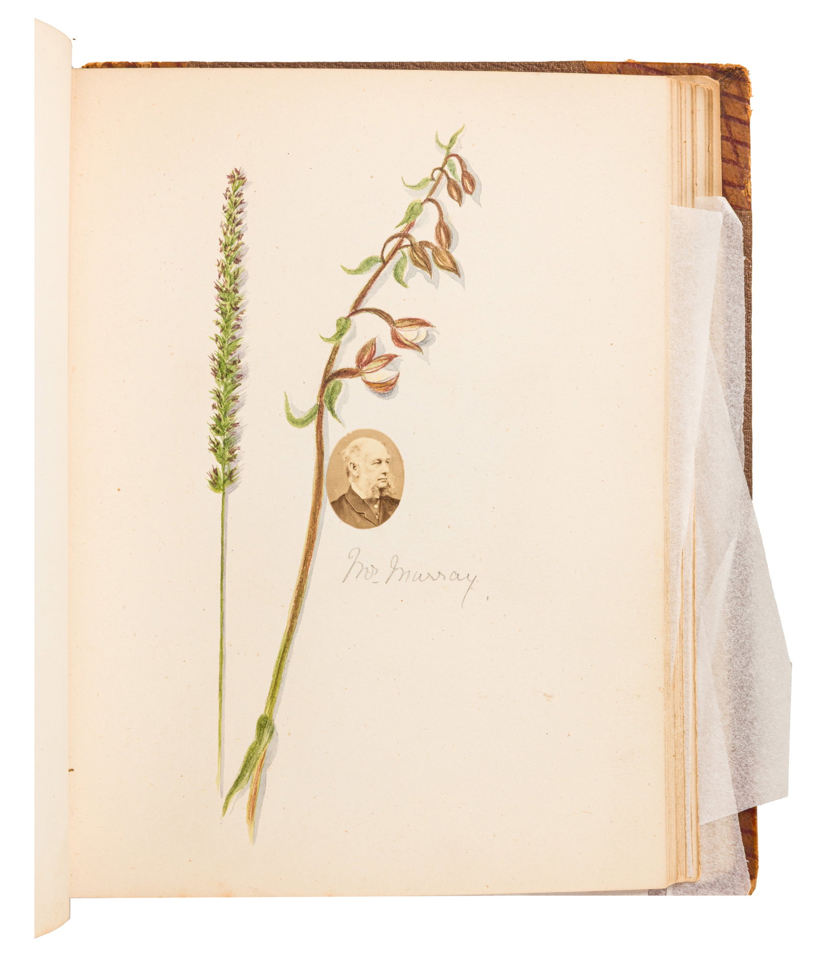 Victorian Interest, 1860s-1880s - 2