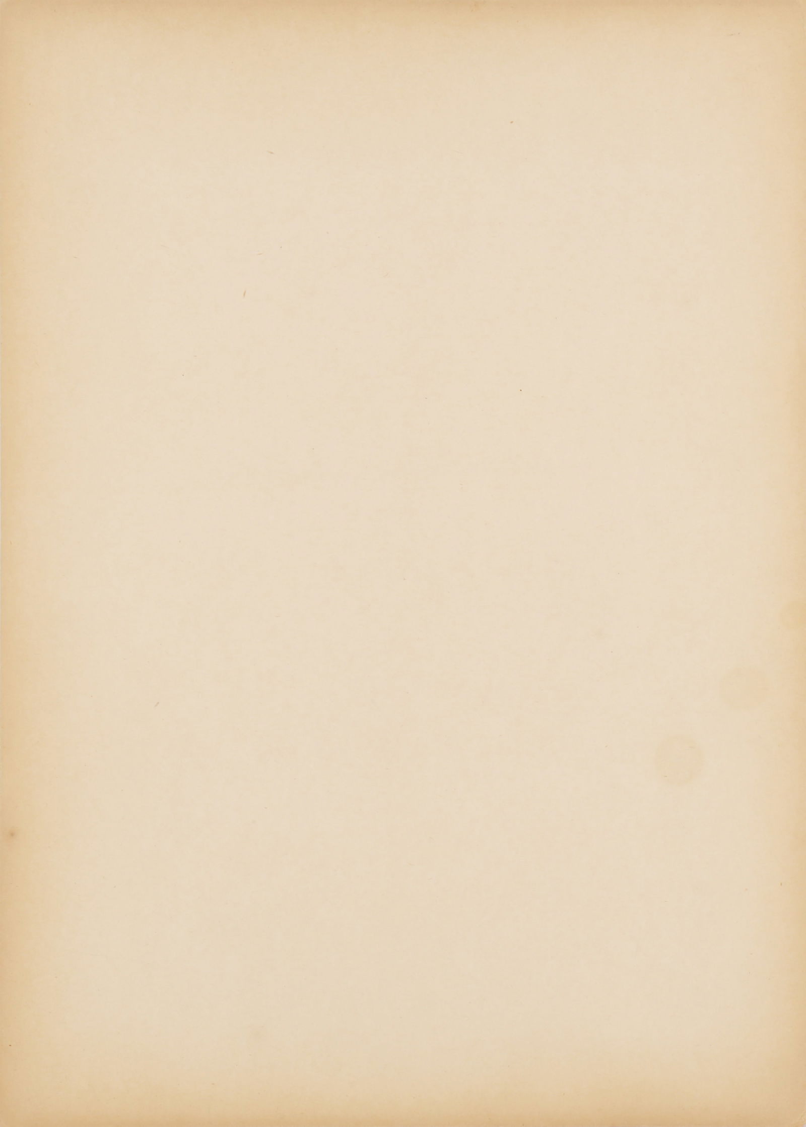 Egidio Scaioni (1894-1966) Fashion Study, c.1920-1930 - 3