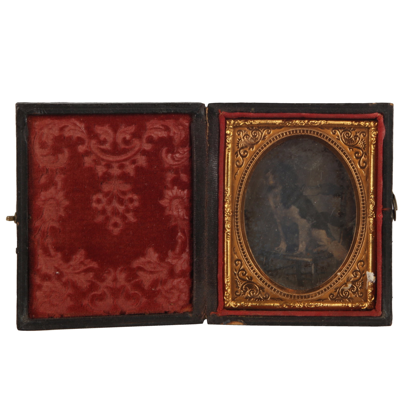 Animal Daguerreotype Portrait of a Dog c.1855: A Ninth Plate Monochromatic daguerreotype, showing a black and white dog standing on a chair, ornate oval aperture brass mat, brass preserver, velvet-lined, side-hinged morocco leather case with one c