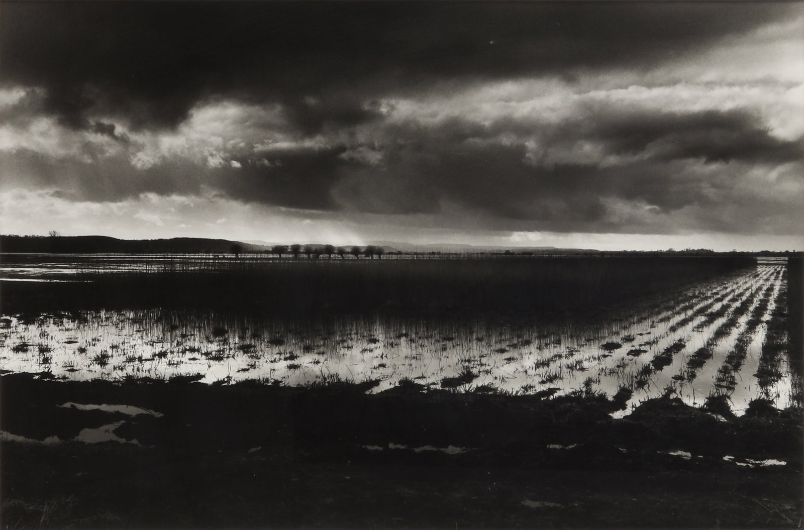 § Don McCullin (b.1935) The Somerset Levels, 1992 (1 of 3)