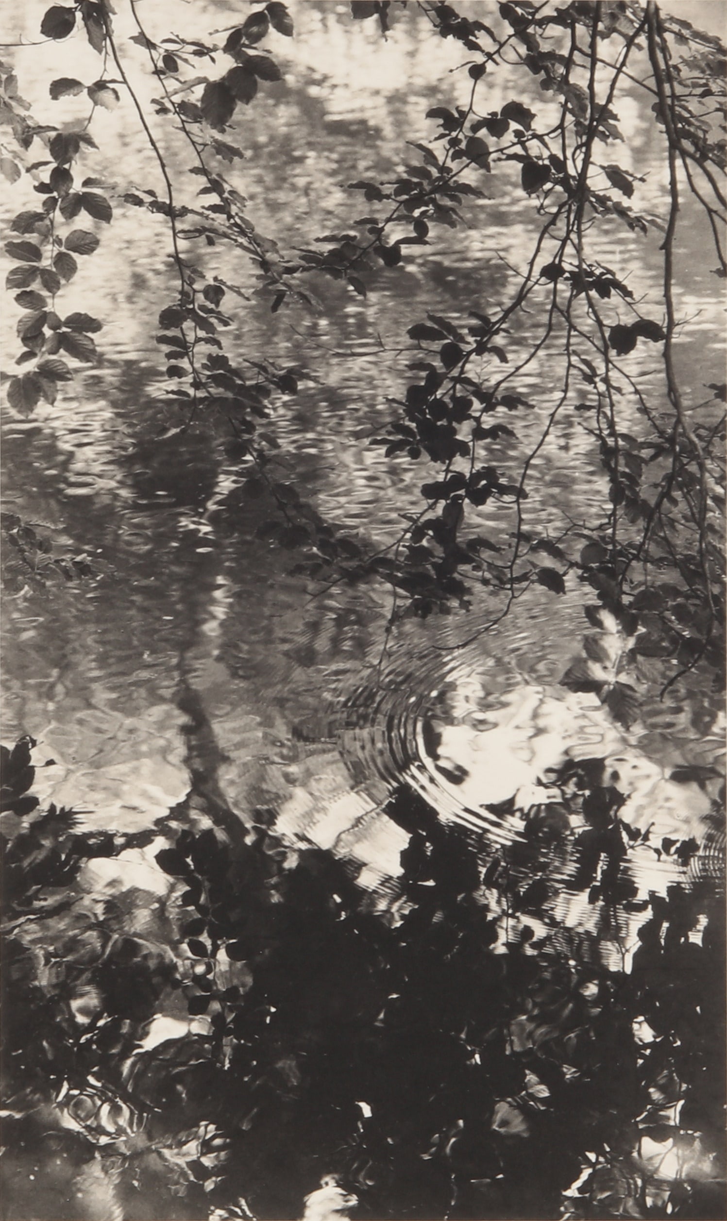 Tomio Seike (b.1943) Waterscape #16, 1999: Toned silver gelatin print, image size 17.5 x 10.5cm, sheet size 31 x 23.5cm, signed, titled, and editioned 26/30 by the photographer in pencil within his copyright credit stamp. Framed, frame size 36