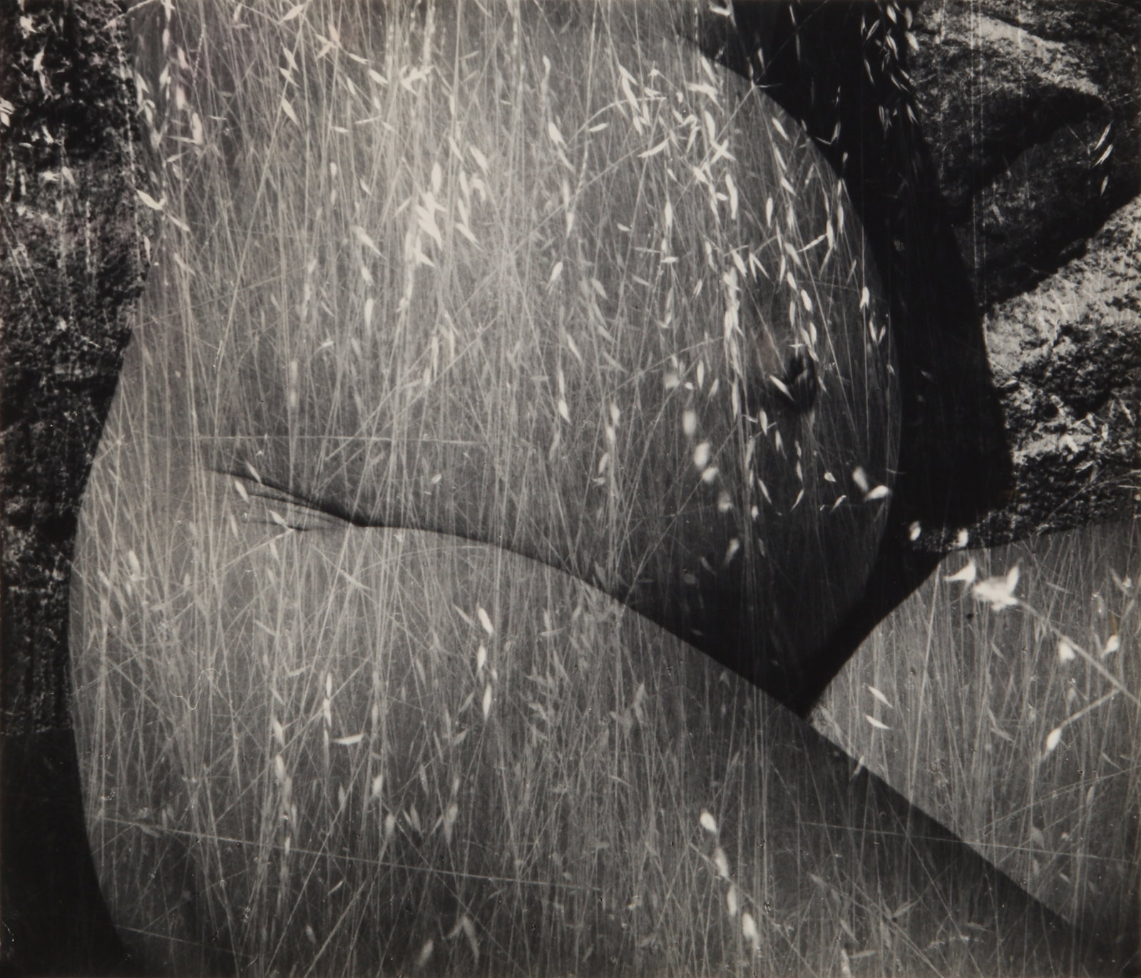 Ruth Bernhard (1905-2006) Harvest, 1953 & Mother & Child Group, c.1950: A group of four early silver gelatin proof prints of Bernhard's maternity subjects, image/sheet sizes 24 x 18cm [or the reverse], two titled and annotated by the photographer in ink verso, each with a