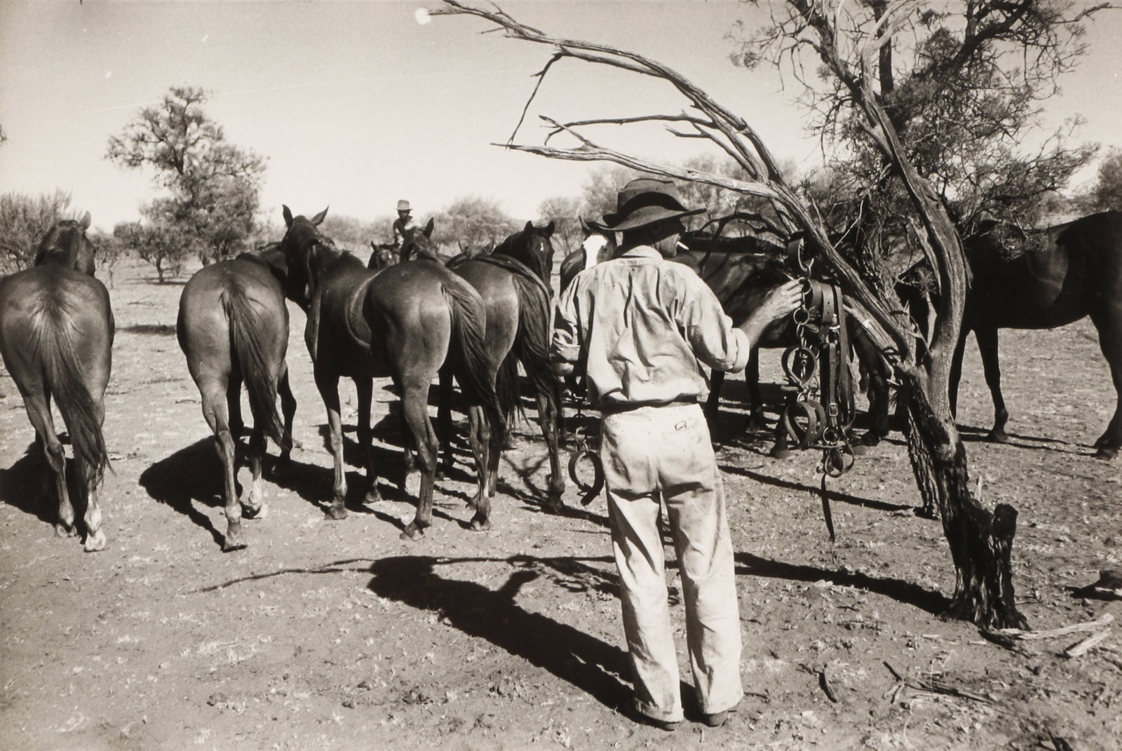 Thurston Hopkins (1913-2014) Outback Cowboys, 1953: A pair of vintage silver gelatin press prints from Hopkins' 1953 Picture Post assignment to cover Australian cattle ranchers, the smaller measuring 13.2 x 19.7cm, the larger measuring 14.7 x 19.6cm, e