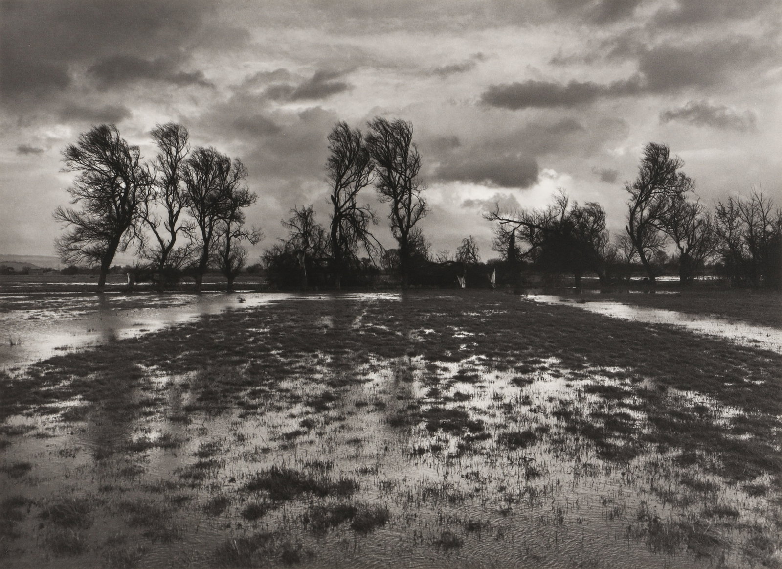 Don McCullin (b.1935) Flooded Fields, Somerset, 1992: Vintage silver gelatin print, image size 30 x 41.3cm, sheet size 40.6 x 50.8cm, signed by the photographer in pencil verso, with McCullin's dated copyright label affixed verso. Framed, frame size 49 x