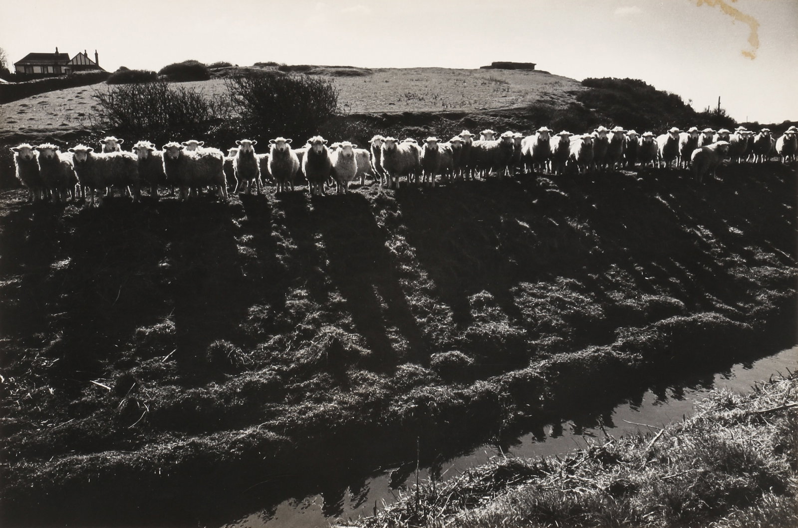 Fay Godwin (1931-2005) Royal Military Canal, Pett Level, 1981: Vintage silver gelatin print, flush-mounted to card, image size 19.2 x 29cm, card size 29.8 x 39.5cm, signed by the photographer in pencil lower margin recto, further signed, titled, dated, and inscri