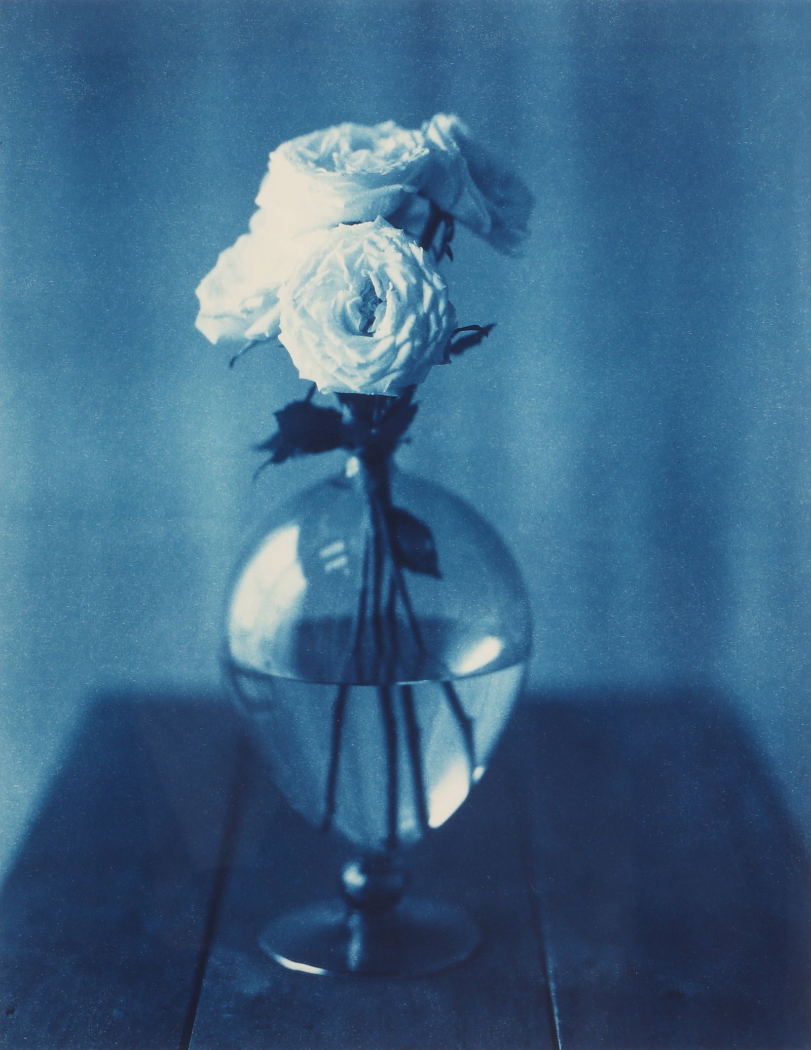 John Dugdale (b.1960) Petals, Morton Street, NYC, 1997: Cyanotype, image size 33.5 x 26cm, edition 7/10, signed, titled, and dated by the photographer in ink verso. Framed, frame size 53.5 x 45.5cm. Qty: (1)