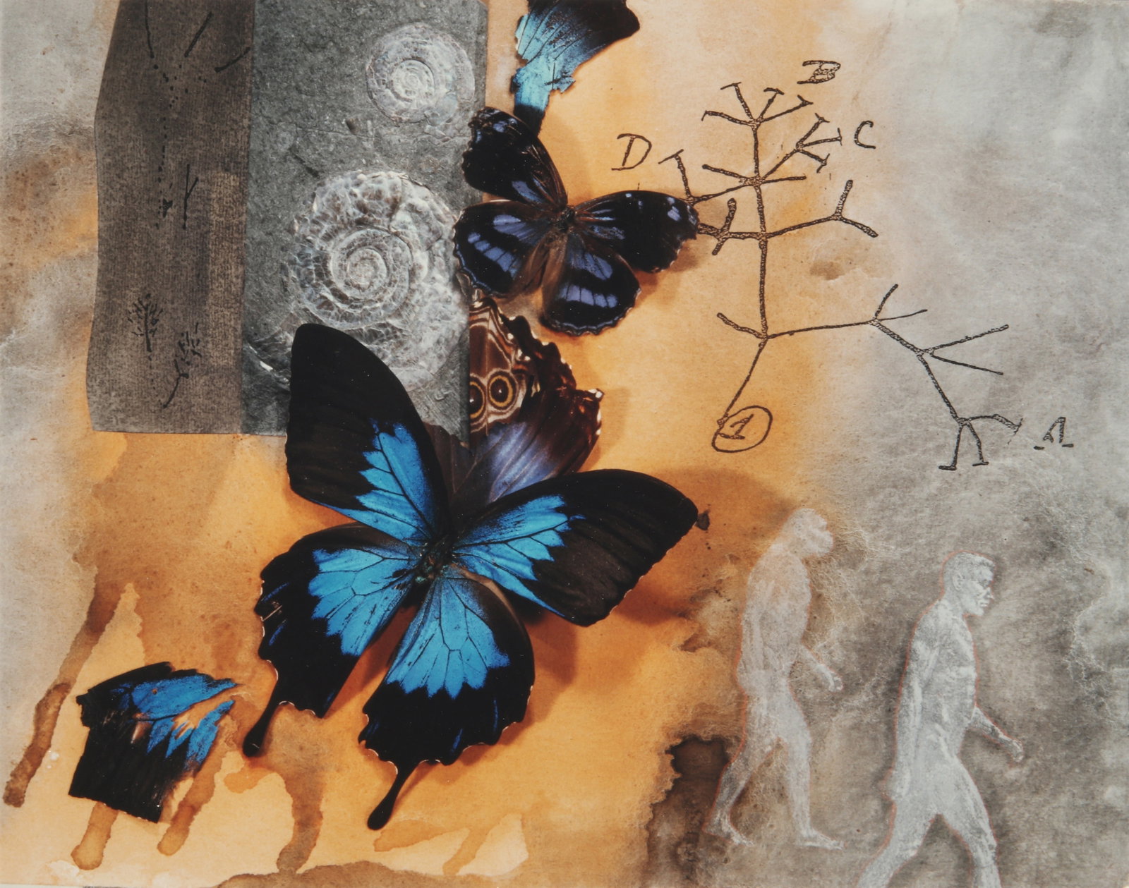 Olivia Parker (b.1941) A Group of Six Surreal Collages, 1989: A group of six colour Polaroid prints, each image measuring 19 x 24cm, each sheet measuring 21.5 x 27.5cm, each signed, titled, and editioned /4 by the photographer in ink lower margin recto. Comprisi