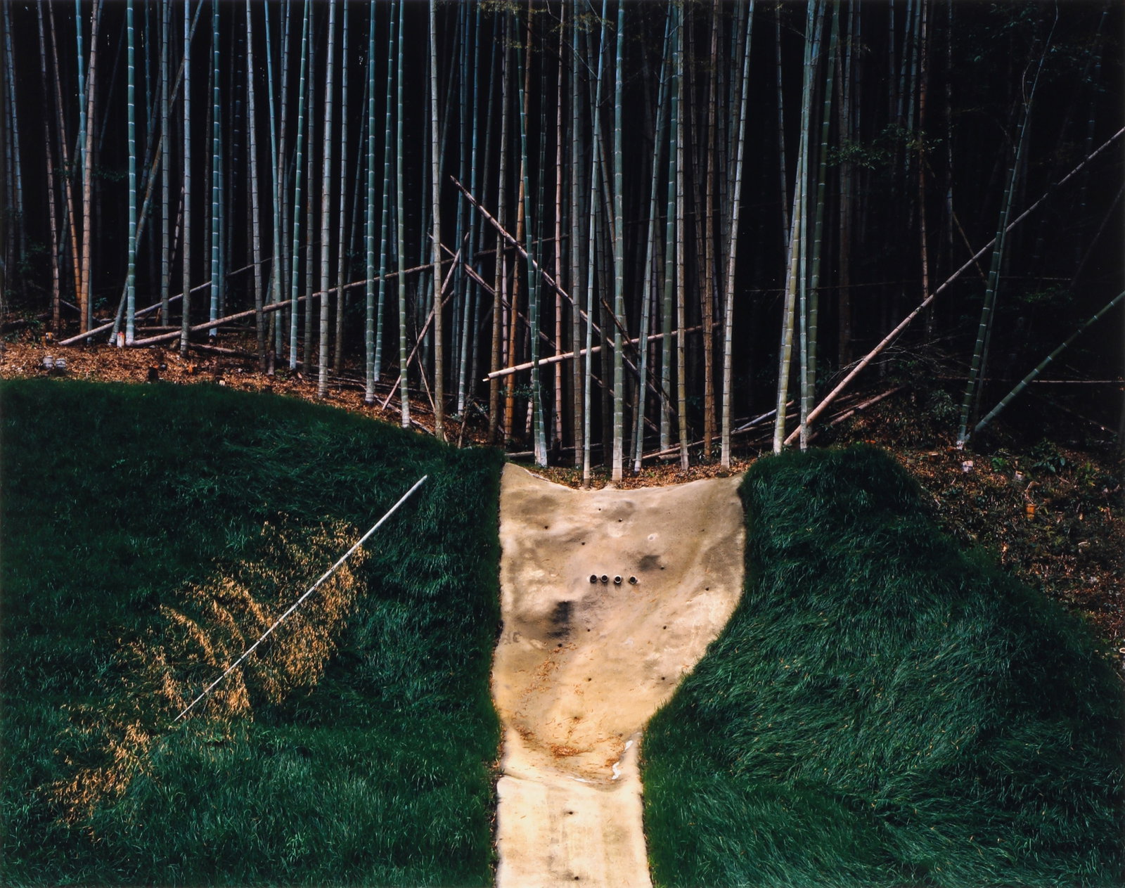Mark Power (b.1959) Miyazaki, Japan, 2000: Chromogenic print, image size 27.7 x 35cm, sheet size 30.4 x 40.5cm, signed, titled, dated, and editioned 4/60 by the photographer in ink verso, with Power's copyright stamp verso. Qty: (1)