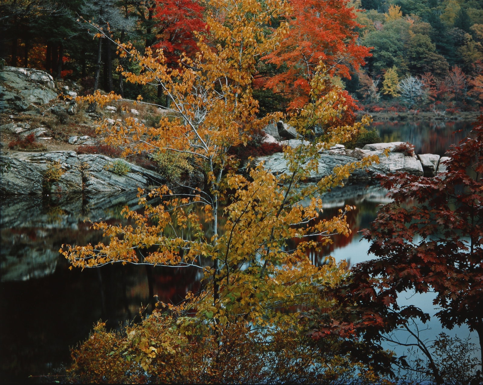 Robert Glenn Ketchum (b.1947) Island Pond, Harriman State Park, 1983: Cibachrome print, image/sheet size 50.5 x 60.5cm, signed, titled, dated, and editioned 7/50 by the photographer in pencil verso. Framed, frame size 68 x 78cm. *This lot is offered without reserve. Qty