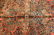 Antique Sarouk Wool Rug - 3