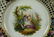19Th Century Reticulated Framed Dresden Plate - 3