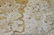 19Th C. Marble Top And Carved Wood Table - 3